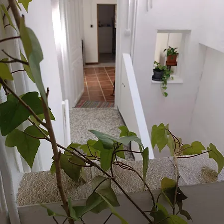 La Casita De Maria * Setenil De Las Bodegas
